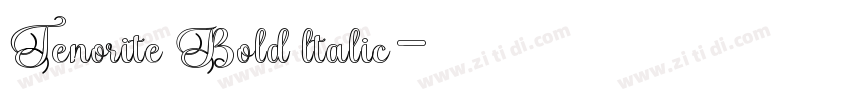 Tenorite Bold ltalic字体转换